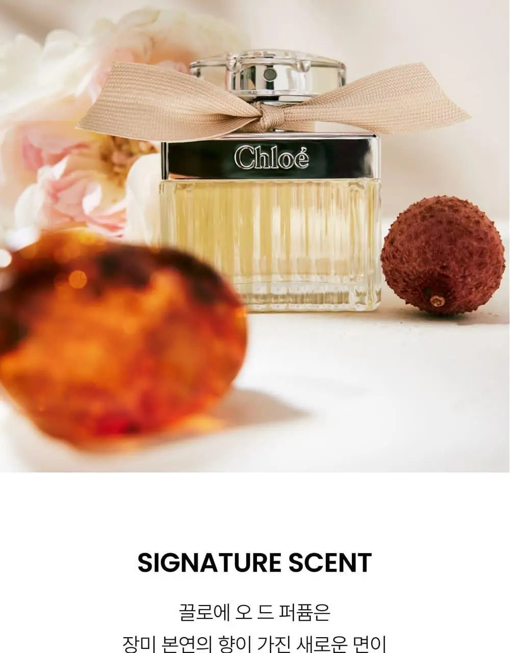 [5월 올영픽] 끌로에 EDP [단품/기획] (10ml/30ml/50ml/75ml/100ml/50기획/100기획) 상세페이지 11